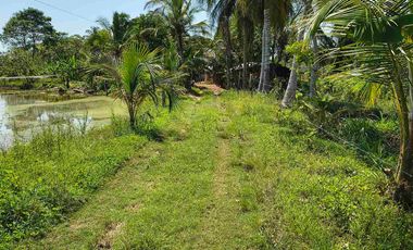 FINCA EN VENTA PUERTO BADEL ESPECIAL PARA PISCICULTURA - TEKA.