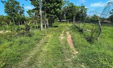 FINCA EN VENTA PUERTO BADEL ESPECIAL PARA PISCICULTURA - TEKA.