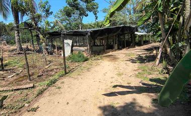 FINCA EN VENTA PUERTO BADEL ESPECIAL PARA PISCICULTURA - TEKA.