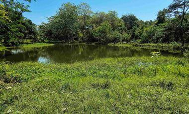 FINCA EN VENTA PUERTO BADEL ESPECIAL PARA PISCICULTURA - TEKA.