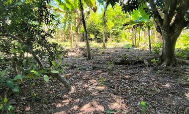 FINCA EN VENTA PUERTO BADEL ESPECIAL PARA PISCICULTURA - TEKA.