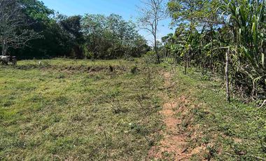 FINCA EN VENTA PUERTO BADEL ESPECIAL PARA PISCICULTURA - TEKA.