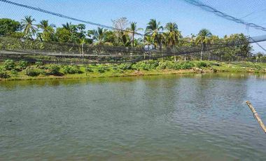 FINCA EN VENTA PUERTO BADEL ESPECIAL PARA PISCICULTURA - TEKA.