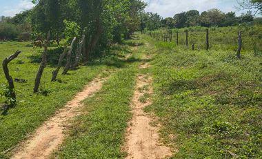 FINCA EN VENTA PUERTO BADEL ESPECIAL PARA PISCICULTURA - TEKA.