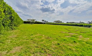 VENTA DE LOTE EN LA TORRE-ROZO, PALMIRA, VALLE DEL CAUCA