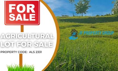 agricultural land for sale