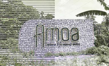 Amoa (House & Lot Or Lot Only) Ready For Occupancy 5% DP to Move-In