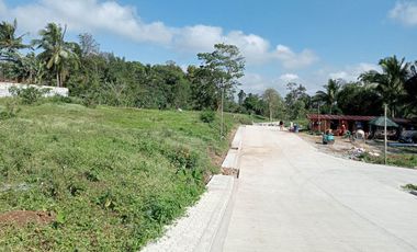 FOR SALE LOT IN CAVITE
