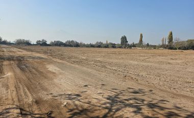 PARCELA EN BUIN /ALCALDE ALBERTO KRUMM