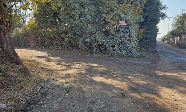 PARCELA EN BUIN /ALCALDE ALBERTO KRUMM