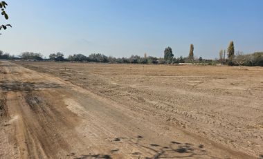 PARCELA EN BUIN /ALCALDE ALBERTO KRUMM