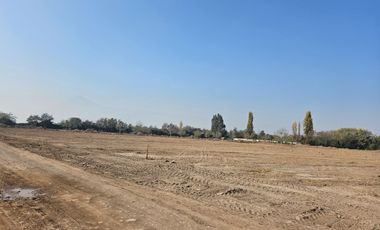 PARCELA EN BUIN /ALCALDE ALBERTO KRUMM