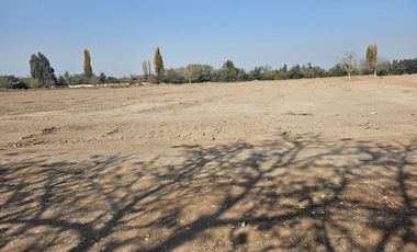 PARCELA EN BUIN /ALCALDE ALBERTO KRUMM