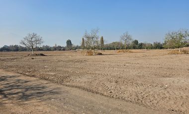 PARCELA EN BUIN /ALCALDE ALBERTO KRUMM