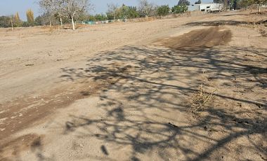 PARCELA EN BUIN /ALCALDE ALBERTO KRUMM