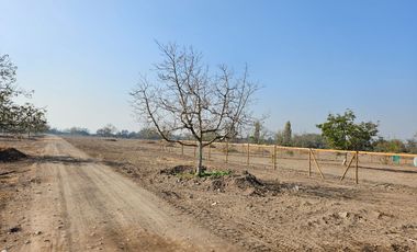 PARCELA EN BUIN /ALCALDE ALBERTO KRUMM