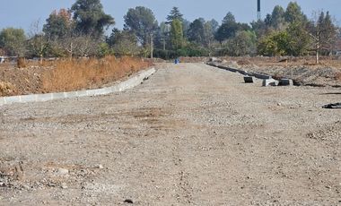 PARCELA EN BUIN /ALCALDE ALBERTO KRUMM