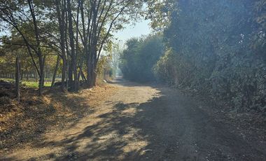 PARCELA EN BUIN /ALCALDE ALBERTO KRUMM