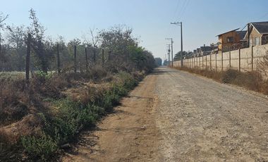 PARCELA EN BUIN /ALCALDE ALBERTO KRUMM