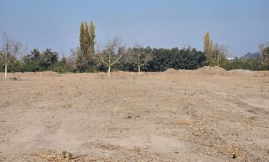 PARCELA EN BUIN /ALCALDE ALBERTO KRUMM