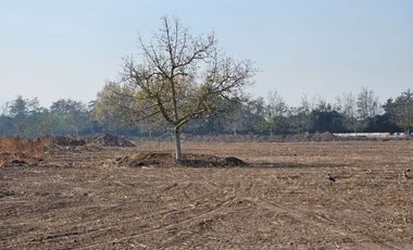 PARCELA EN BUIN /ALCALDE ALBERTO KRUMM