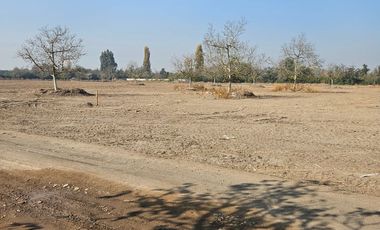 PARCELA EN BUIN /ALCALDE ALBERTO KRUMM