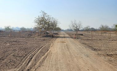 PARCELA EN BUIN /ALCALDE ALBERTO KRUMM
