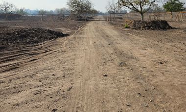 PARCELA EN BUIN /ALCALDE ALBERTO KRUMM