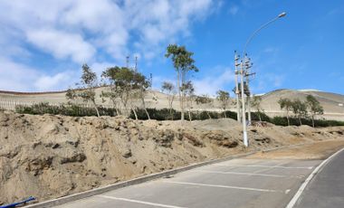 Terreno De Playa En Condominio Praderas 1Era. Etapa - Asia / Cañete