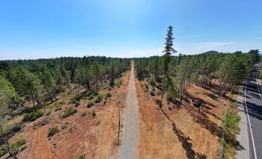 VENDO TERRENOS PARRAL 5000M2 ,AGUA POTABLE INSTALADA, LUZ, CAMINO ASFALTADO, PRE CORDILLERA EMBALSE DIGUA