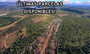 VENDO TERRENOS PARRAL 5000M2 ,AGUA POTABLE INSTALADA, LUZ, CAMINO ASFALTADO, PRE CORDILLERA EMBALSE DIGUA