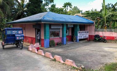 1,255sq.m Commercial potential House and Lot in Tagbilaran City
