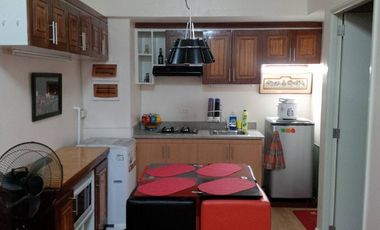 2 bedroom condo in paco manila Peninsula garden midtown homes fully furnished unit