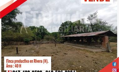 SE VENDE FINCA EN RIVERA (HUILA-COL) 40H CON AGUA