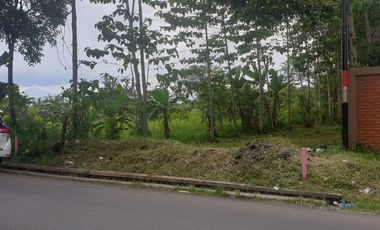 12959 M2 Tanah Kebun Pinggir jalan Raya Dekat Stadion Jalak Harupat Bandung