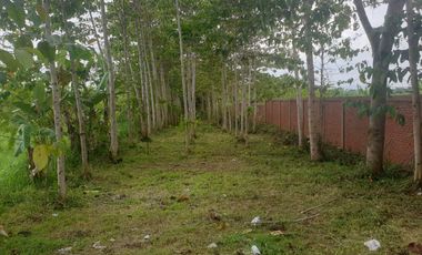 12959 M2 Tanah Kebun Pinggir jalan Raya Dekat Stadion Jalak Harupat Bandung