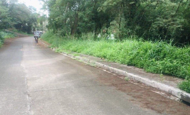 418 sqm Vacant Lot For Sale in Sun Valley Estates, Antipolo City