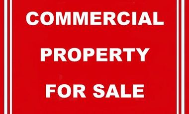 304 sqm Commercial Lot for Sale along Banlat Road, Tandang Sora, Quezon City