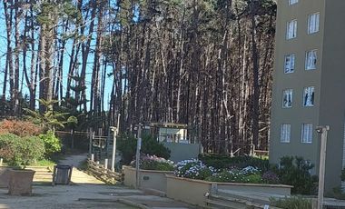 Lindo Departamento En Condominio Pinares Canelillo en Algarrobo.