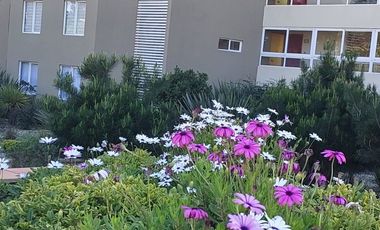 Lindo Departamento En Condominio Pinares Canelillo en Algarrobo.