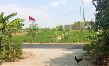 Jual Rumah Sederhana Plupuh Sragen