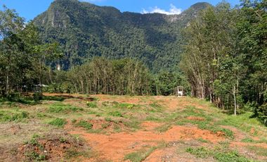 The most attractive mountain view 5 rai of flat land for sale in Khaothong, Krabi