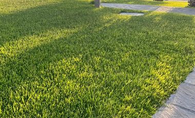TERRENO EN MEJIA AREQUIPA