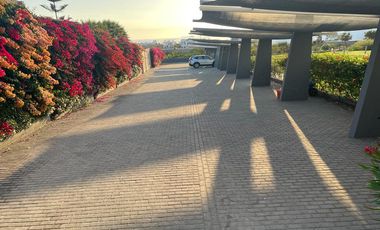 TERRENO EN MEJIA AREQUIPA
