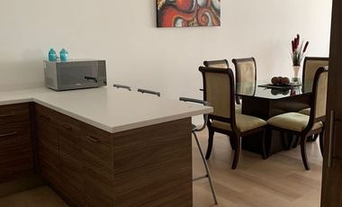 Departamento amueblado 1 recámara Nuevo Sur, Vidal Serrano, Monterrey