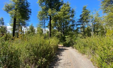 Parcelas en venta en Ensenada, Puerto Varas, Parque Los Volcanes