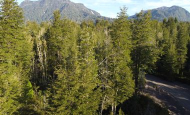 Parcelas en venta en Ensenada, Puerto Varas, Parque Los Volcanes