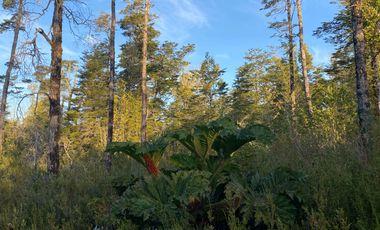 Parcelas en venta en Ensenada, Puerto Varas, Parque Los Volcanes