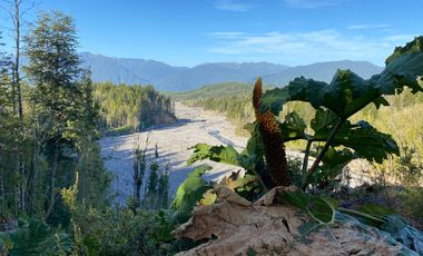 Parcelas en venta en Ensenada, Puerto Varas, Parque Los Volcanes