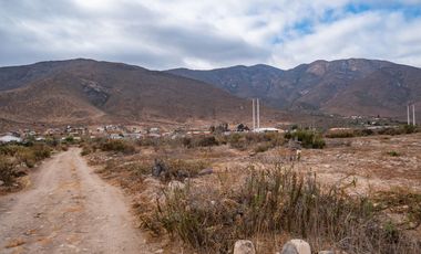 Venta de parcela sector El Manzano, Andacollo,10.000 m2. $69 millones